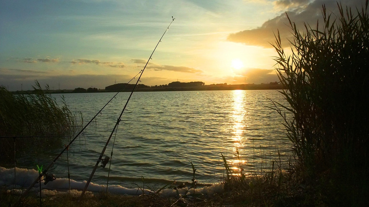 fishing, eve, nature, sunset, lakeside, fishing rods